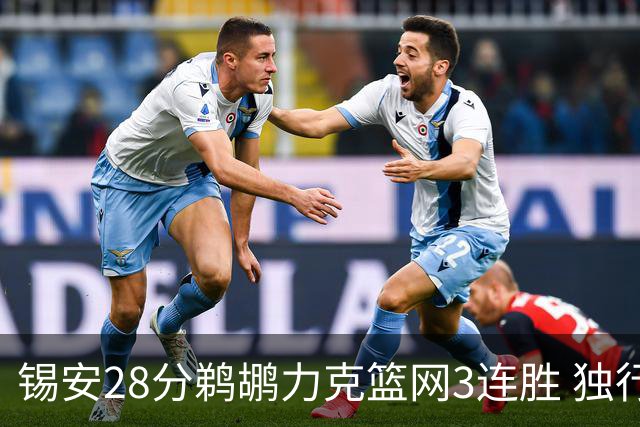 锡安28分鹈鹕力克篮网3连胜 独行侠险胜马刺